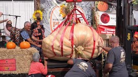 1 tonne pumpkin wins California's World Championship weigh-off 1/3