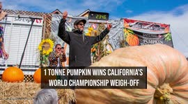 1 tonne pumpkin wins California's World Championship weigh-off