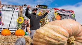 UNCAPTIONED: 1 tonne pumpkin wins California's World Championship weigh-off