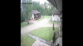 Bear Cubs Roughhousing in the Front Yard