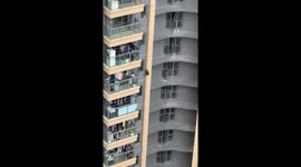 Monkeys climb pipes in high-rise residential area, Guangxi, China