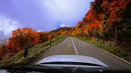 Stunning autumn leaves in Jododaira, Japan