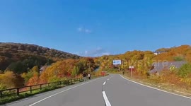 Japan: Autumn Foliage Blooms Across Country After Scorching Summer 3