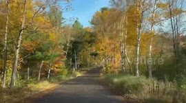 Autumn colors shine in Iron River as Wisconsin hits peak foliage season