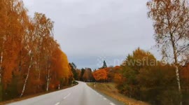 Sweden: Stunning Autumn Foliage Captured in Jönköping County