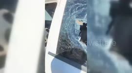 Settlers Assault Farmers in Dalja Area of Ramallah District, Destroy Cars Amid Harvest