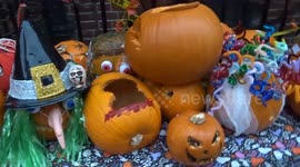 Carved pumpkin in the wigs Halloween display outside Knightsbridge School on Pont Street
