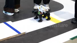 China: National robot competition starts in Hebei