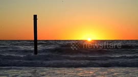 Sunrise with a friendly brown pelican in Manhattan Beach, California, USA