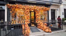 Halloween decorations