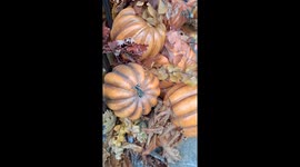 Halloween decorations