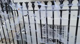 Halloween decorations