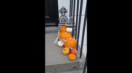 Halloween decorations