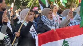 Germany: Protesters in Berlin rally in support of Palestinians in war-torn Gaza