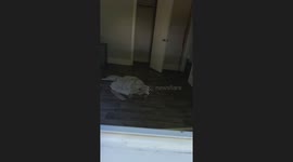 Not Your Ideal Neighbor Stealing Power Across Roadway