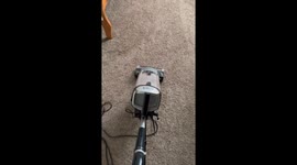 My Cat When I Vacuum