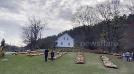pumpkin picking on route 7 Pownal Vermont