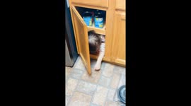 Hilarious Daughter Prank! You Won't Believe Where She Was Hiding! Scared the Jeepers out of me