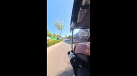 Brave dog barks just in time to avoid a car accident in Hebei, China