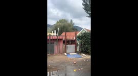 Mischievous brown dog jumps and barks playfully outside gate in Shandong, China