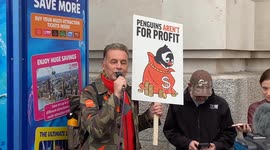 Chris Packham calls for the release of penguins imprisoned at Sea Life London