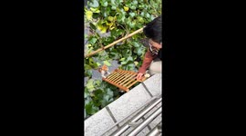 Brave children save kitten from the water in Sichuan, China