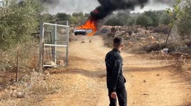Illegal Israeli settlers attack Palestinian farmers, burn 2 vehicles