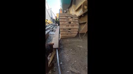 Two terriers vs. rat: Patterdales go full-on pest control at recycling plant