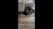 temp