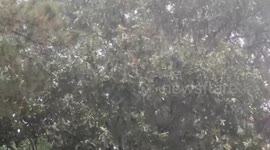 Powerful thunderstorm sweeps through Ferndale, California, USA