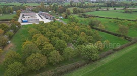 Mulberry founder turned walnut farmer has biggest crop of the nut ever