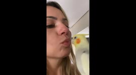 Cockatiel warmly kiss and greets owner returning from trip in Goiânia, Brazil