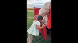 Goat vs. Girl: Headbutt Battle