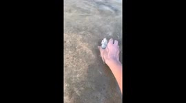 The Stone That Defied the Current