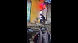 Spoiled Rotten: The Spoon-Fed Dog
