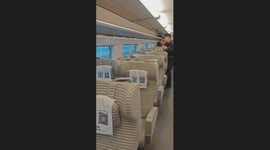 Bird Chaos on High-Speed Train!