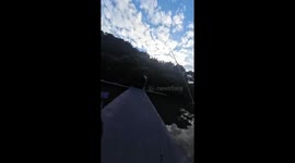 The Fish's Great Escape