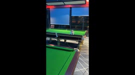 Kitten's Great Leap Gone Wrong