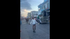 Parade dancer startled by approaching horse in Alvarado, Veracruz, Mexico
