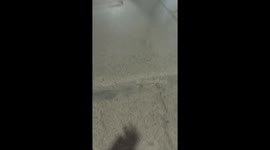 Woman accidentally topples claw machine while trying to win stuffed toy in Orán, Argentina