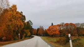 Autumn Colors Along the Road from Mullsjö to Habo