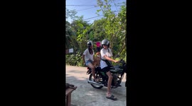 Pet dog refuses to climb down from motorcycle seat