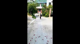 Kids lie on road to catch fallen fruit in Guizhou, China