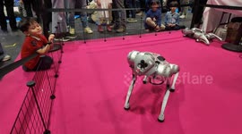 A robotic quadruped called Unitree Go2  entertains a small child at New Scientist Live