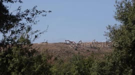 Israeli army raids villages, destroys agricultural areas in southwestern Syria