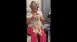 Moms and Their Crusty White Dog