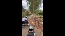 Encounter With Toucan Ends in Funny Scene and Goes Viral