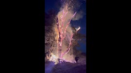 Controlled Burn of 100-Year-Old Dead Tree