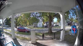 Pup Pulls Its Person Off the Porch