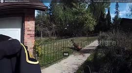 US: Trooper Rescues Deer Trapped In Wrought-Iron Fence In Spring Arbor